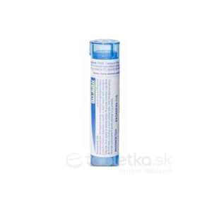 Avena Sativa gra.1 x 4 g 9CH