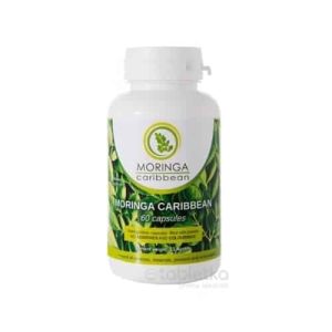 MORINGA Moringa Caribbean (standard)