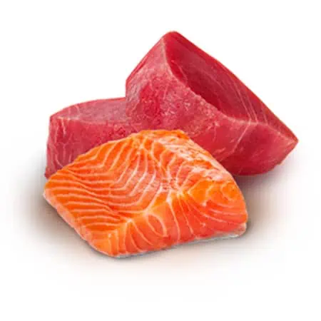 Farmina N&D - tuna & salmon