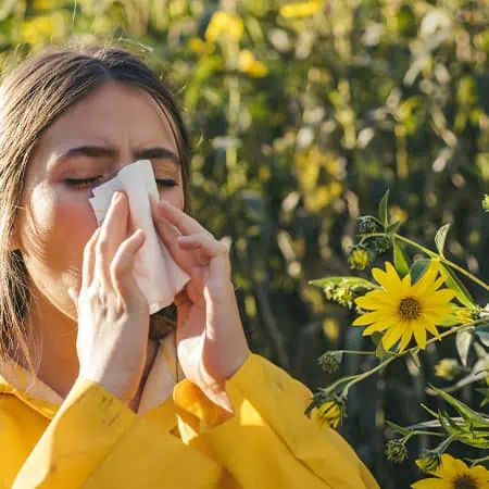 ako vznika alergicka rinitida