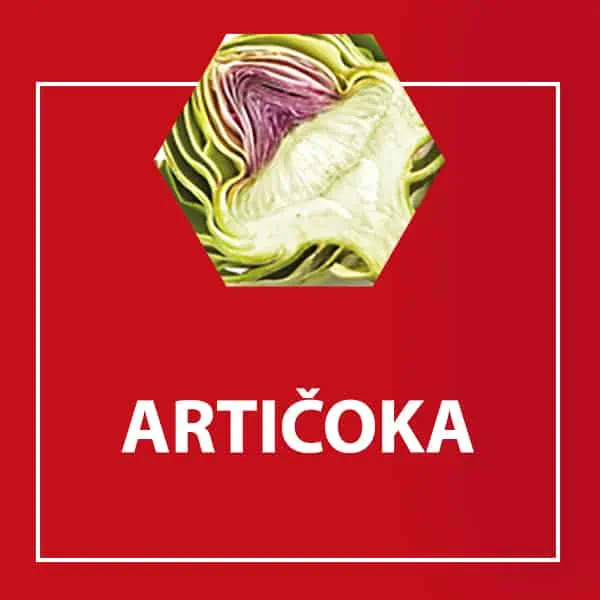 Zloženie tabliet Arterin Cholesterol - Artičoka